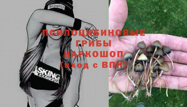 шишки Абдулино