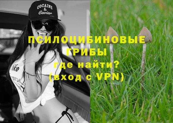 шишки Абдулино